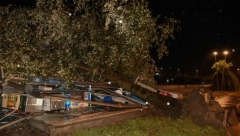 KUCANJE NA PROZORU, I TELO DETETA ISPRED KUĆE Novi detalji tragedije u Novom Sadu
