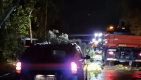 OVO JE GORE NEGO RATNO PROFITERSTVO Baki u Palanci čovek uzeo 120 evra da iseče oboreno stablo