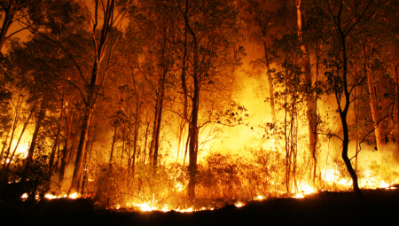 ITALIJA U PLAMENU Vatrogasci se bore sa požarima u Kalabriji