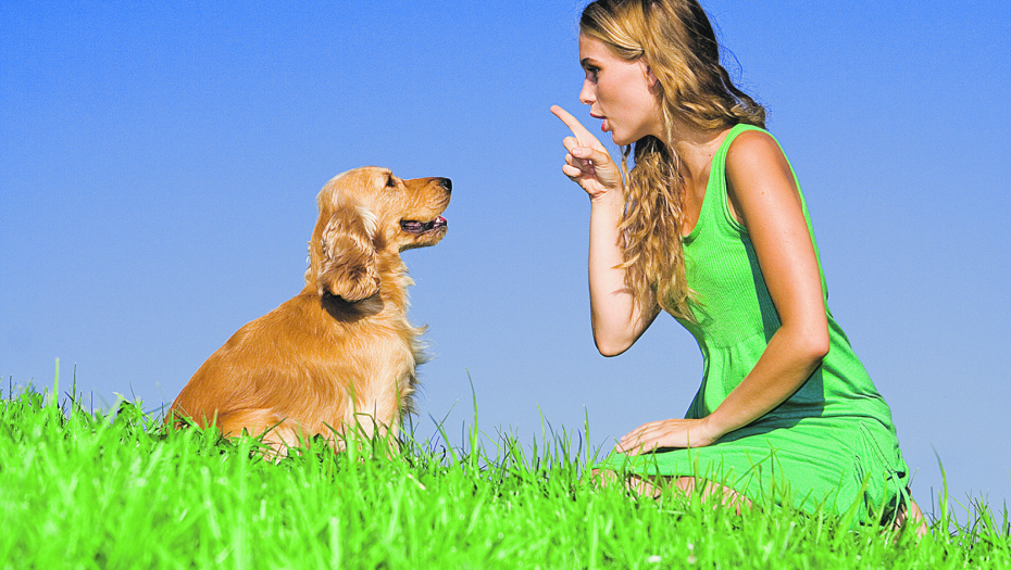 ZVONO ZA UZBUNU Promene u ponašanju kod pasa na koje morate da obratite pažnju jer posle bude kasno