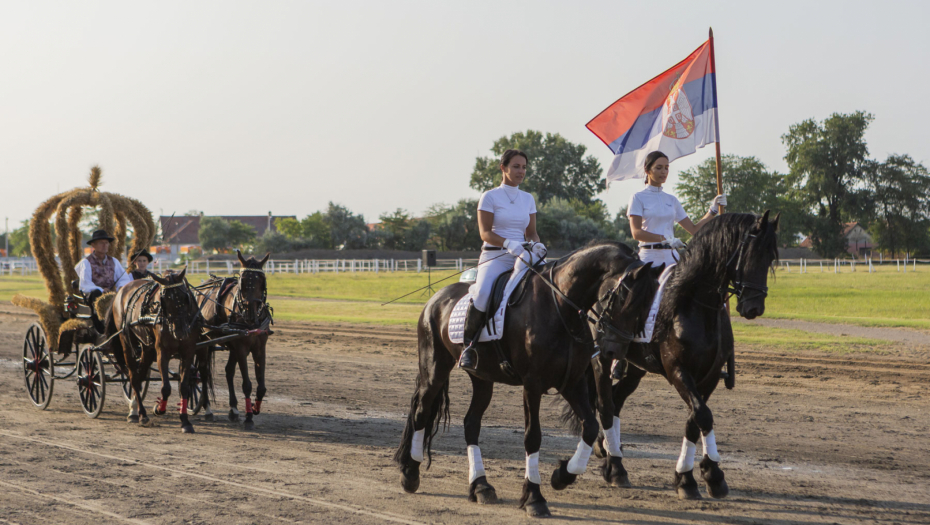 Pobednički pehar kasačke trke „Dužijanca" ponovo otišao grlu iz odgajivačnice porodice Jokić
