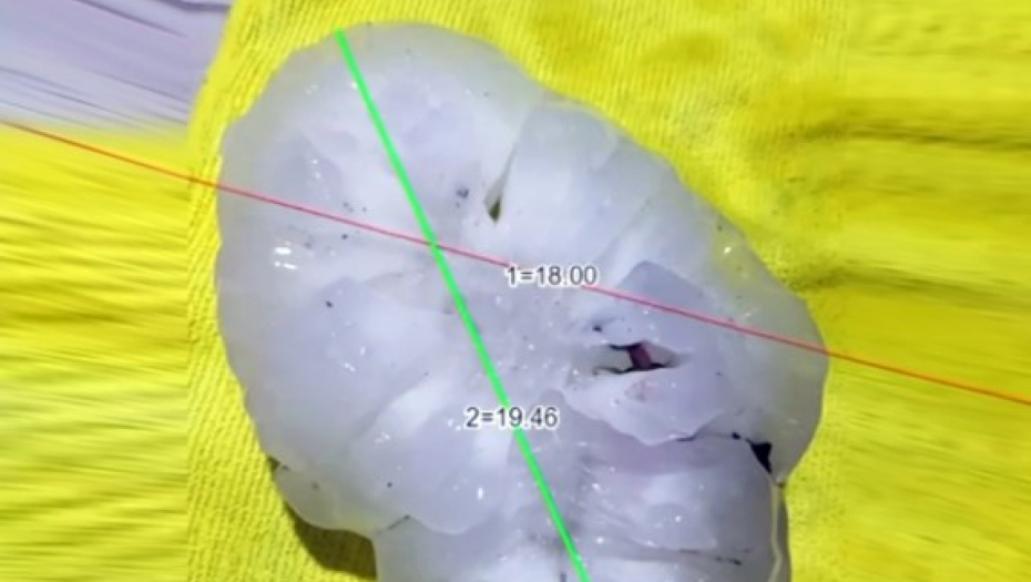 RAZORNO NEVREME, PAO KOMAD LEDA TEŽAK SKORO KILOGRAM Oboren rekord, veličine je 19 centimetara