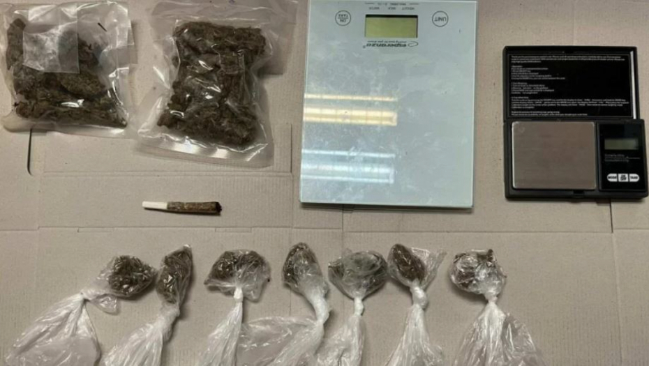 OGLASIO SE MINISTAR DAČIĆ O HAPŠENJU KOD UBA Kod suvozača u PVC kesici pronađena marihuana