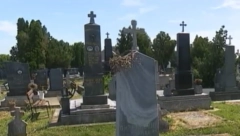 MSLILI SMO DA JE MAJKA ISPALA IZ SANDUKA, TAKO JAKO JE PUKLO Skandal u Apatinu, porodica sprema tužbu