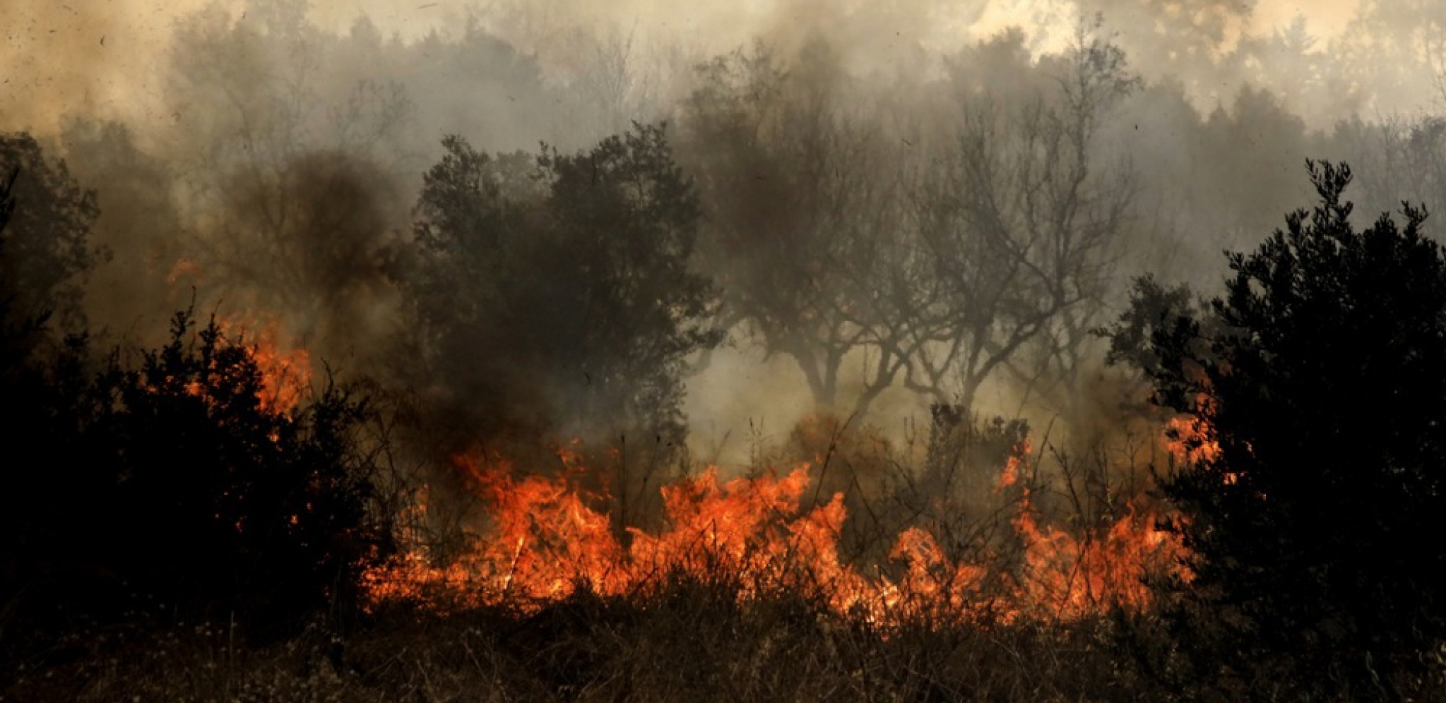 IZBILA DVA POŽARA U GRČKOJ Na terenu 60 vatrogasaca i 15 vozila (FOTO)