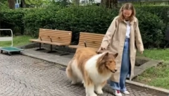 PAS SPASIO ŽIVOT VLASNICI Pogledajte kako joj je doneo lek i vodu u kritičnom trenutku