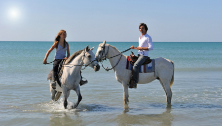 LETOVANJE SA KONJIMA: Ako niste probali, kažu da puno propuštate