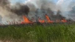 SNIMAK POŽARA NA SITONIJI Vatrena stihija guta sve pred sobom (VIDEO)