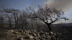 NI KAMEN NA KAMENU NIJE OSTAO, VATRA JE SVE PROGUTALA Apokaliptični prizori sa Rodosa i Krfa posle razornog požara (FOTO)