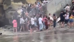 LJUTE MORSKE ZVERI RASTERALE KUPAČE Ljudi u panici beže glavom bez obzira (VIDEO)