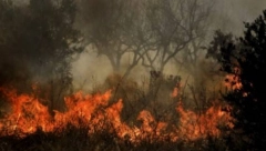 ŠIROM GRČKE OD JUTROS IZBIO 71 POŽAR Šest regiona u pripravnosti (VIDEO)