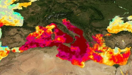 ALARMANTNO! NAUČNICI U PANICI "Gori more" u omiljenim letovlištima Srba, temperatura vode 30 stepeni