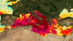ALARMANTNO! NAUČNICI U PANICI "Gori more" u omiljenim letovlištima Srba, temperatura vode 30 stepeni