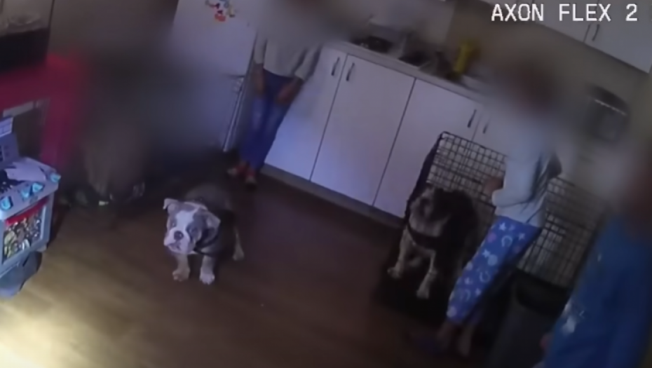 JEZIV SNIMAK DECE U KAVEZU ZA PSE Otac ih je držao zarobljene u prljavštini (VIDEO)