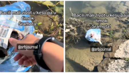 TEK SE RODILO, A BACILI SU GA U REKU DA SE UDAVI Srceparajuće, ovo je snimljeno u Timoku