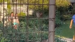 ČOVEK USRED BEOGRADA HRANI PACOVE Žena snimila jezivu scenu ispred svetinje, a onda su osuli paljbu po njoj (VIDEO)