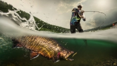 IZ DUNAVA IZVUKAO GRDOSIJU DUGAČKU TRI METRA Borba je trala pet sekundi (VIDEO)