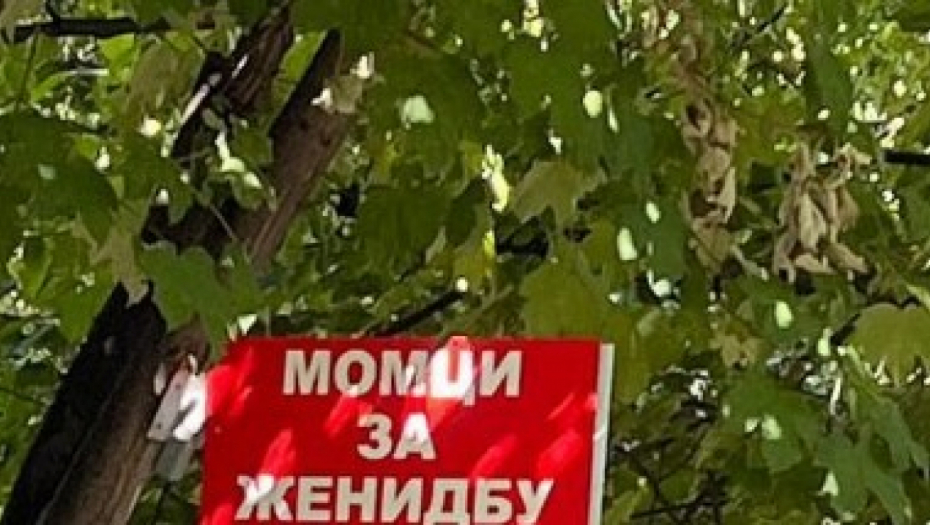 U NASELJU GALENIKA IMA MOMAKA ZA ŽENIDBU Osvanula hit tabla na drvetu, za više informacija "Pitati u radionici"