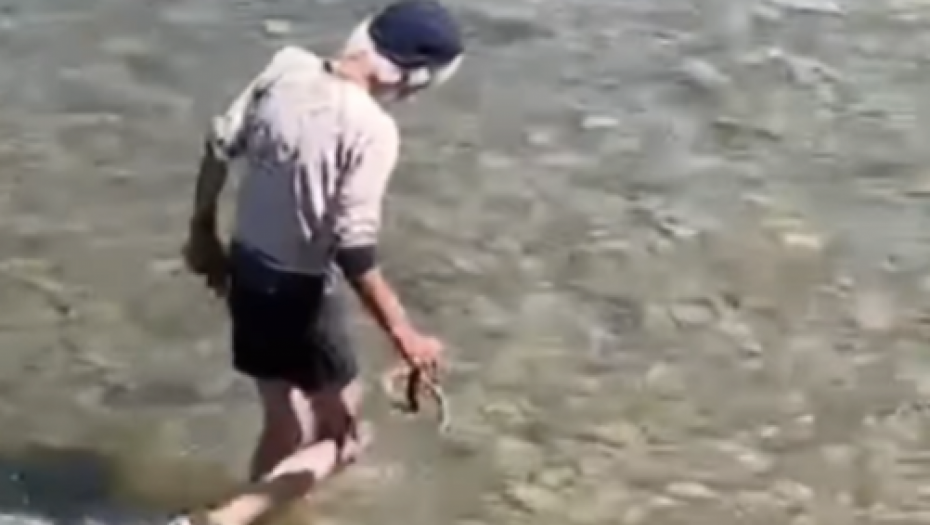 ŠOKANTAN SNIMAK IZ BIH Žarko živi u pećini i golim rukama hvata zmije po reci, ljudi u neverici gledali i snimali nesvakidašnji prizor (VIDEO)