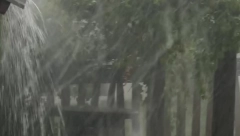 "KAO DA NAM JE TAJFUN PROŠAO KROZ DVORIŠTE" Posle oluje ostala pustoš (FOTO)