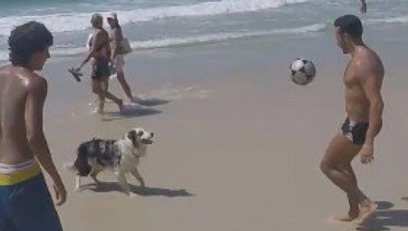KAKO OVO RADI? Pas oduševio sve prisutne svojim umećem sa loptom (VIDEO)