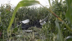 JEDNA STVAR JE PILOTA KOŠTALA ŽIVOTA Veruje se da je ovo uzrok tragedije u Batajnici