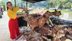 KAO OD ŠALE OKREĆE BIKA OD POLA TONE Sanja je jedina žena u Srbiji koja peče vola, iako inženjer nastavila je porodičnu tradiciju