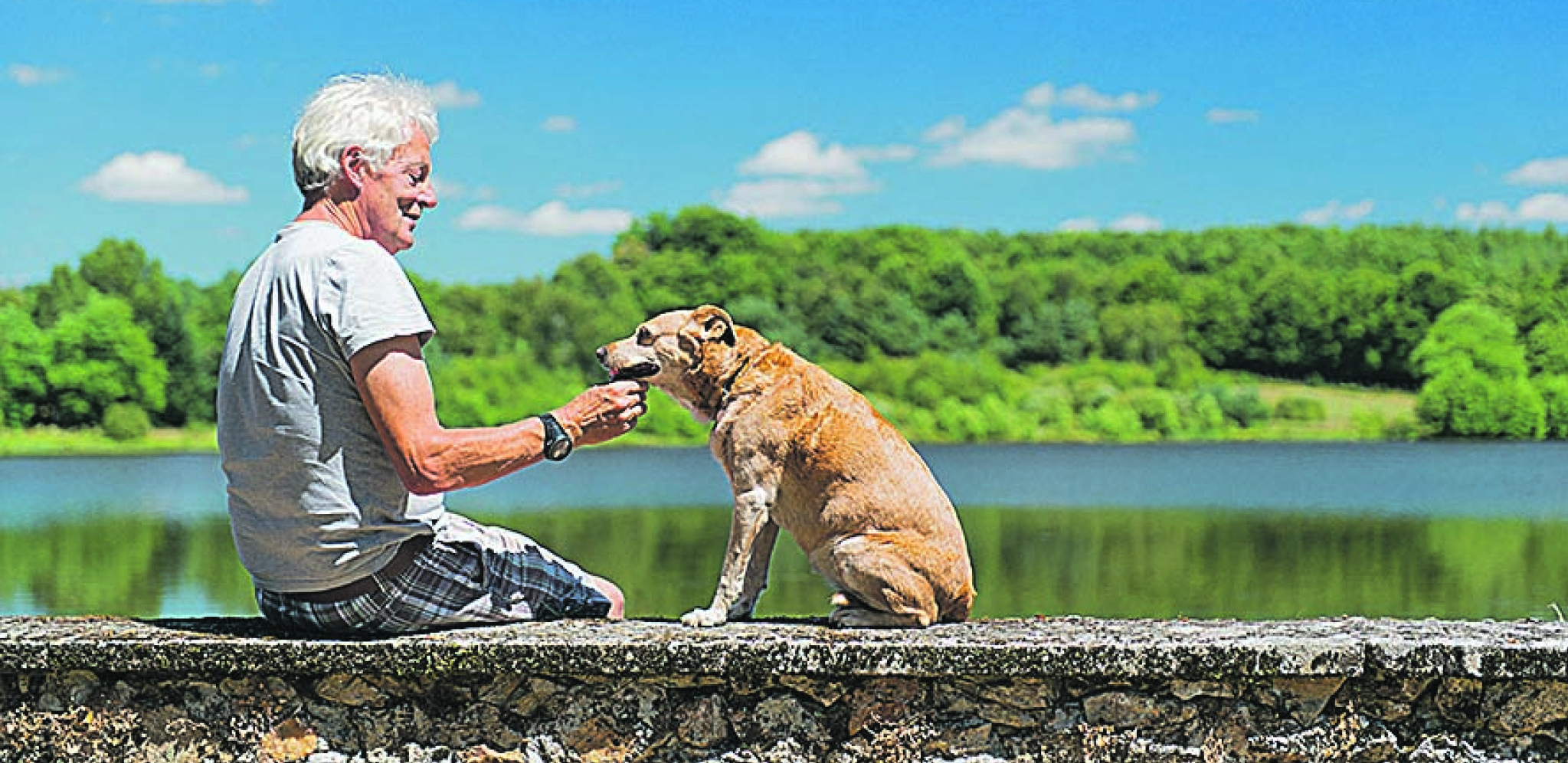 10 VELIČANSTVENIH 10 rasa pasa koje imaju najduži životni vek