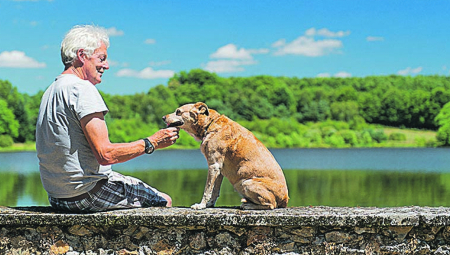 10 VELIČANSTVENIH 10 rasa pasa koje imaju najduži životni vek