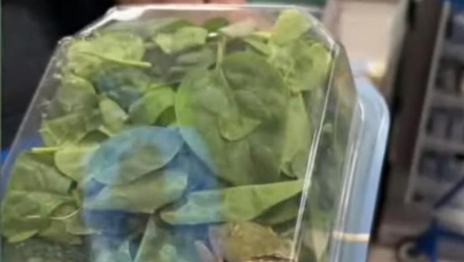 "MOJA ĆERKA JE UZELA KESU I POČELA DA VRIŠTI!" U pakovanju spanaća iz supermarketa nešto je počelo da se mrda (VIDEO)