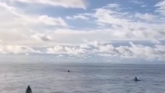 HOROR NA OTVORENOM MORU Zahvatila ih stravična oluja, dane proveli izgubljeni plutajući na daskama za surfovanje (VIDEO)