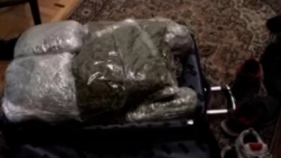 MALOLETNICA PRENOSILA DROGU Policija u stanu zaplenila oko 20 kilograma marihuane