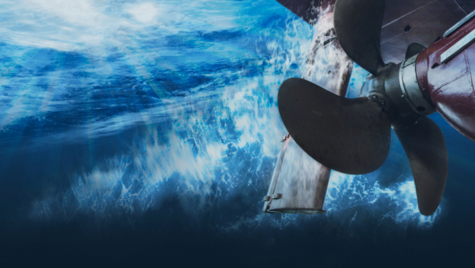 NEZAPAMĆENA NESREĆA U HRVATSKOJ "Propeler ga je unakazio"