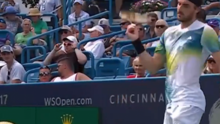 BZZZ, BZZZ Cicipas mislio da ga napadaju pčele, a onda shvatio da ga starija gospođa maltretira (VIDEO)