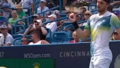 BZZZ, BZZZ Cicipas mislio da ga napadaju pčele, a onda shvatio da ga starija gospođa maltretira (VIDEO)