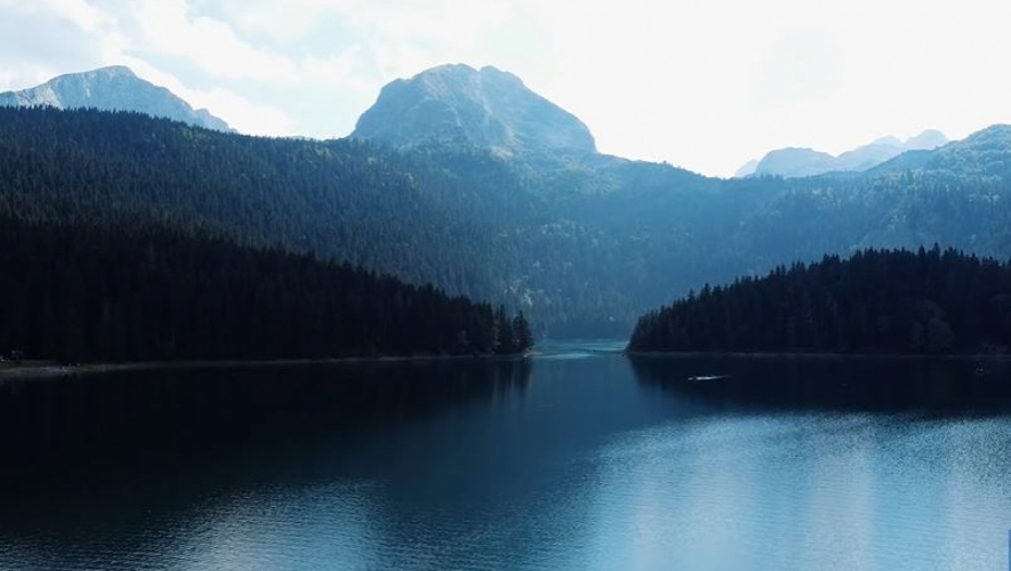 SKANDAL U CRNOJ GORI: U Nacionalnom parku Durmitor otkrivena devastacija šume (VIDEO/FOTO)