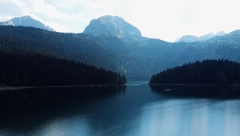 SKANDAL U CRNOJ GORI: U Nacionalnom parku Durmitor otkrivena devastacija šume (VIDEO/FOTO)