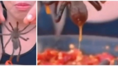 SVI SU ZGROŽENI OVIM SNIMKOM Devojka pojela živog pauka (VIDEO)