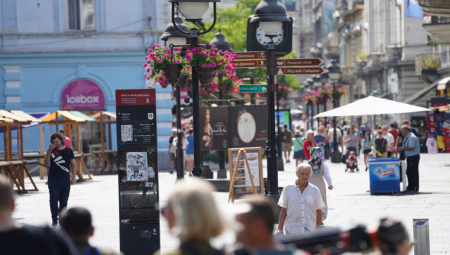 USTAVNI SUD OBUSTAVIO PRIMENU ZAKONA Nećemo morati da lomimo jezike