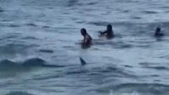 AJKULA UBILA DETE Pronašli telo celo u ranama, horor u Australiji