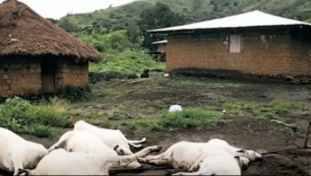 TIHI UBICA PROJURIO KROZ SELO I UBIO SVE ŠTO JE MOGAO Za jednu noć je bilo mrtvo  1.746 ljudi i 3.500 životinja