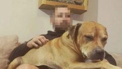 OVAJ MOMAK JE NESTAO U BAČKOJ PALANCI Nema ga od petka, porodica je u agoniji jer je danas pronađeno izgorelo telo u autu