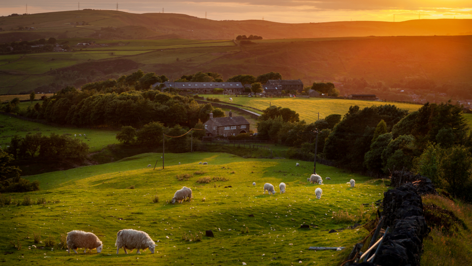 ŽIVIM NA SELU A MESEČNO TROŠIM 2.500 EVRA! Srbin izneo svoju računicu javno: Kritikujte me!