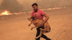 OVAJ MLADIĆ JE HEROJ GRČKE Golim rukama spasavao životinje dok je iza njega divljao ogroman plamen (FOTO)