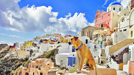 OVO NIKAKO NE NOSITE SA SOBOM NA ODMOR Evo koja se hrana oduzima na granici i šta je sve zabranjeno poneti na letovanje