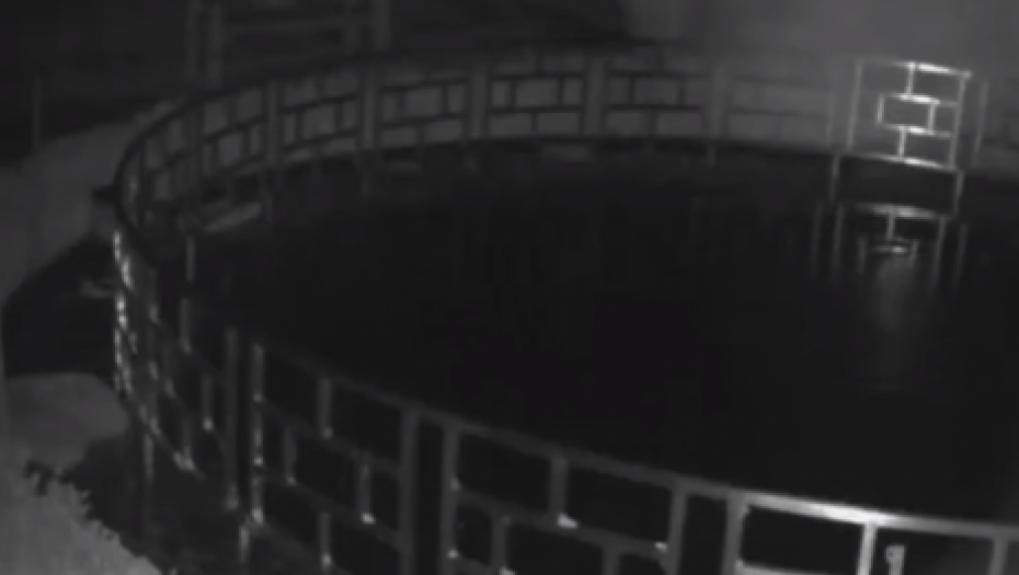 LOPOV SE UŠUNJAO U HOTEL I UKRAO PRAVU DRAGOCENOST Kamere sve zabeležile (VIDEO)