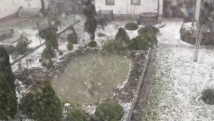 UŽASNI PRIZORI U NEMAČKOJ Povređeno najmanje 30 osoba, vetar čupao drveće, oluja napravila totalni haos (VIDEO)