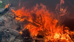 MEŠTANI SELA KOD IVANJICE U STRAHU "Ne možemo da verujemo da je neko bio u stanju ovo da uradi" (FOTO)