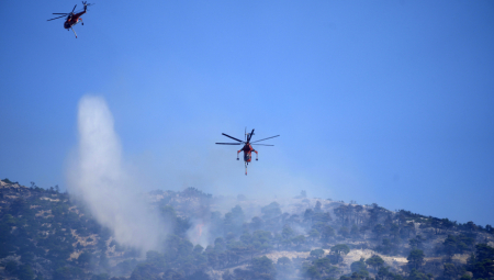 SEVER GRČKE U PLAMENU Evakuišu se ljudi i stoka, ove regije nisu bezbedne