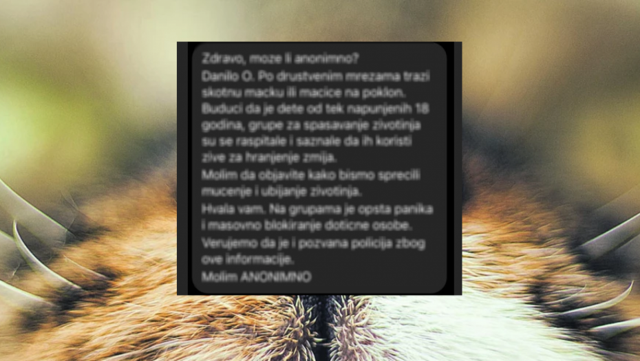 UPOZORENJE SE ŠIRI NA DRUŠTVENIM MREŽAMA "Na grupama je opšta panika i masovno blokiranje dotične osobe"!